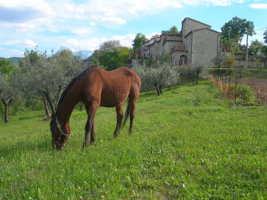 Agriturismo Borgo San Martino Villa Abbateggio Exterior photo