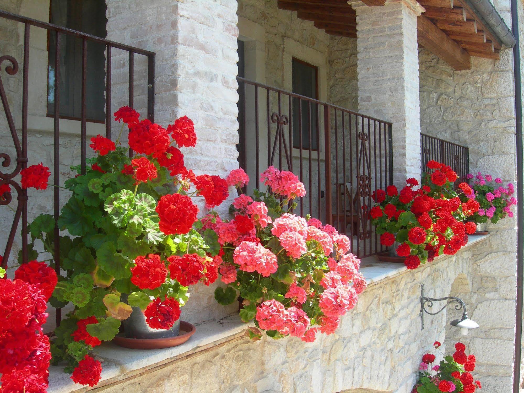 Agriturismo Borgo San Martino Villa Abbateggio Exterior photo